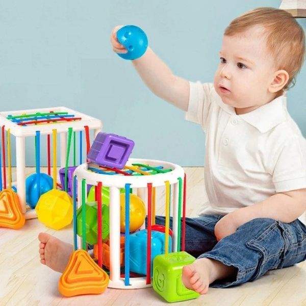 Brinquedo de Encaixe Educativo Montessoriano p /Bebê | 12-36 Meses