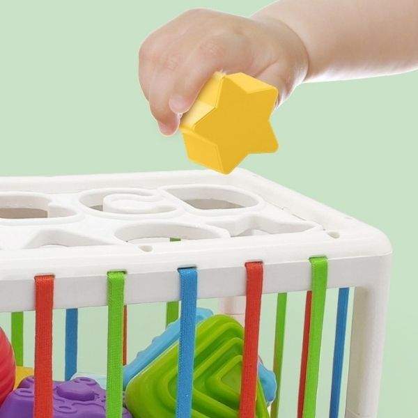 Brinquedo de Encaixe Educativo Montessoriano p /Bebê | 12-36 Meses