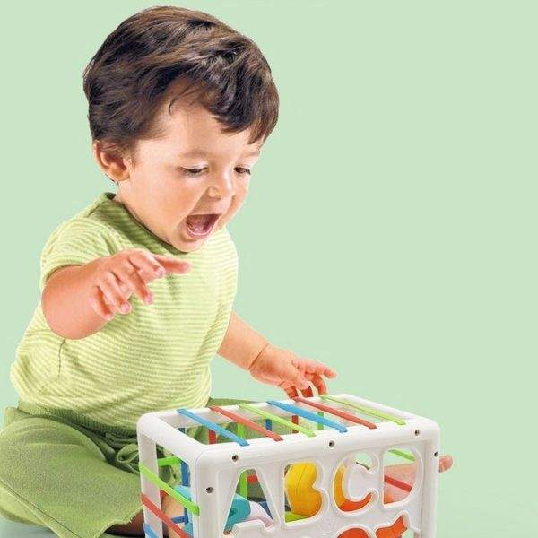Brinquedo de Encaixe Educativo Montessoriano p /Bebê | 12-36 Meses